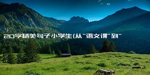 10一20字精美句子小学生(从“语文课”到“俄语课” 小学生的语言学习之旅)